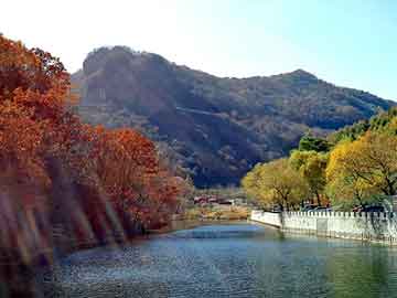 澳彩资料免费长期公开，湘林油茶